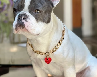 Gold Pet Necklace with Heart Charm, Aluminum Chain