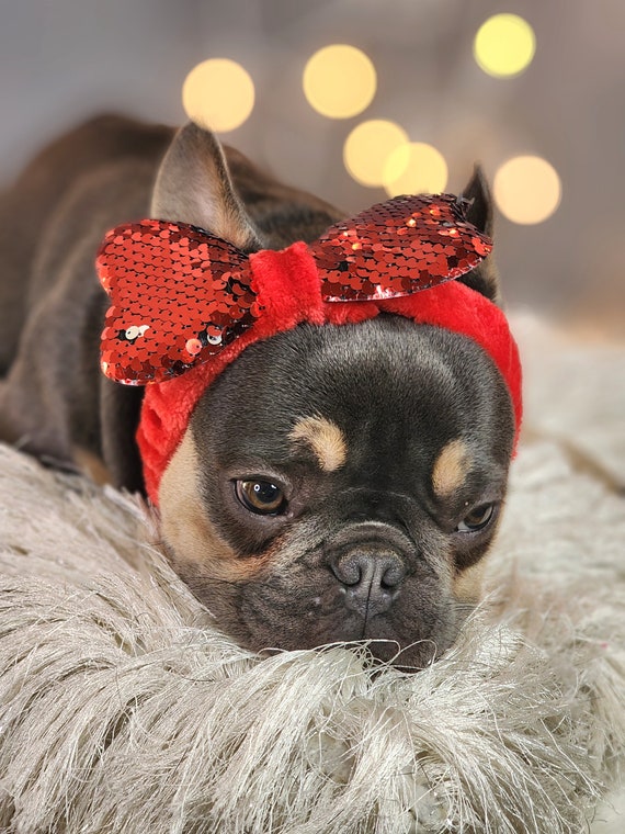新品】 オリバーガル OliverGal Headband Frenchie 【公式通販】