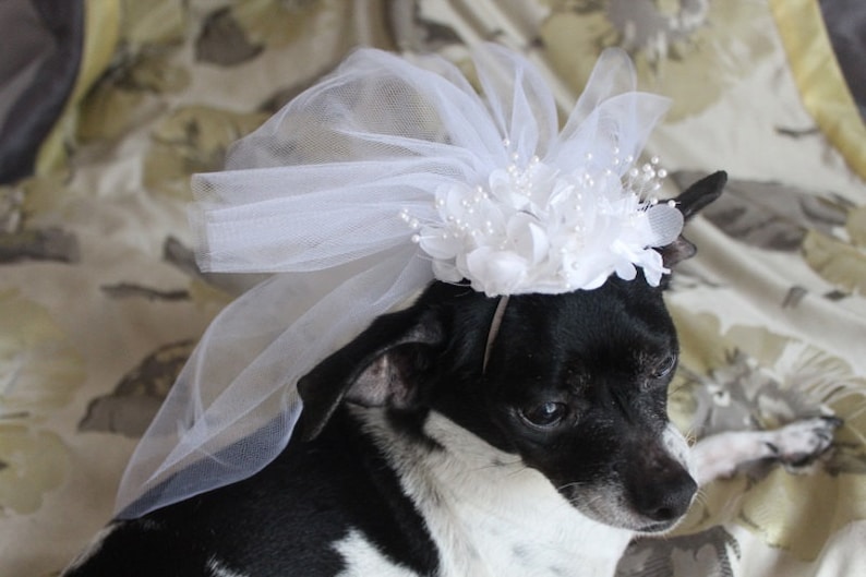 Cute bridal veil with white flowers for dog or cat/ Dog veil / Cat veil /Pet veil / image 1