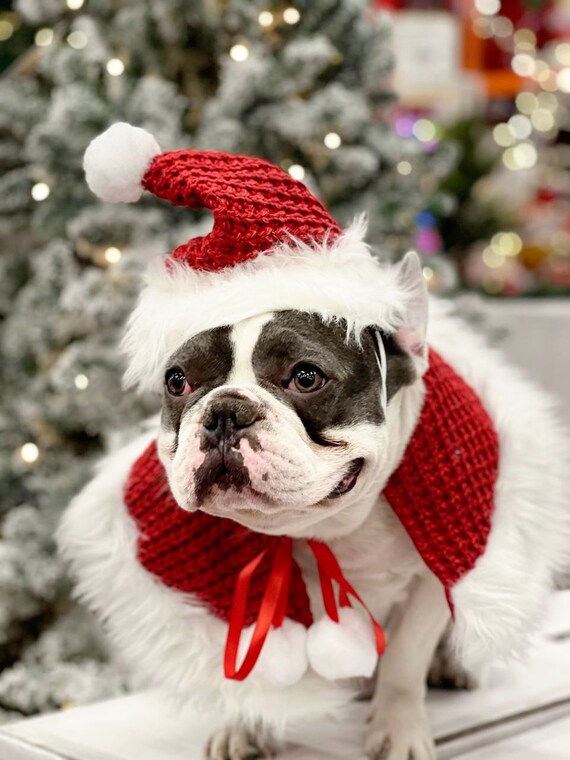 Costume de pere noel grande taille sale