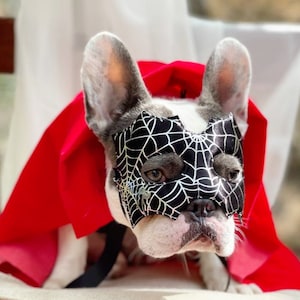 Supper  cute mask and cape  for  dog  /Halloween dog costume/ Costume for pet  /