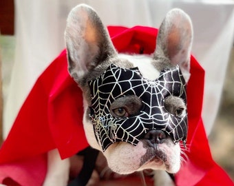 Supper  cute mask and cape  for  dog  /Halloween dog costume/ Costume for pet  /