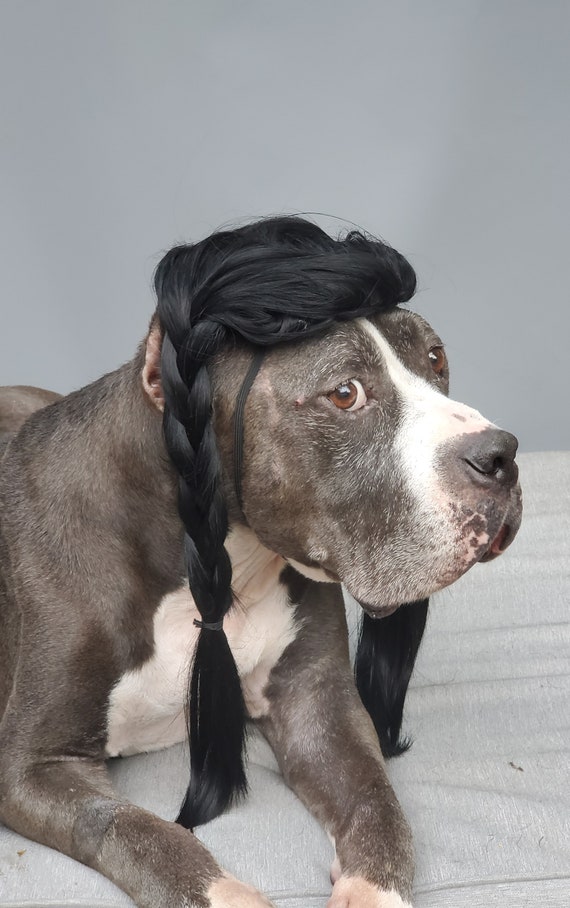 Cute Pet Braided Wig Black Color for Large Dog 