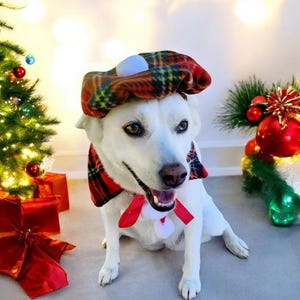 犬や猫用の赤いベレー帽 /犬用帽子/犬用ベレー帽/犬用コスチューム/ベレー帽/