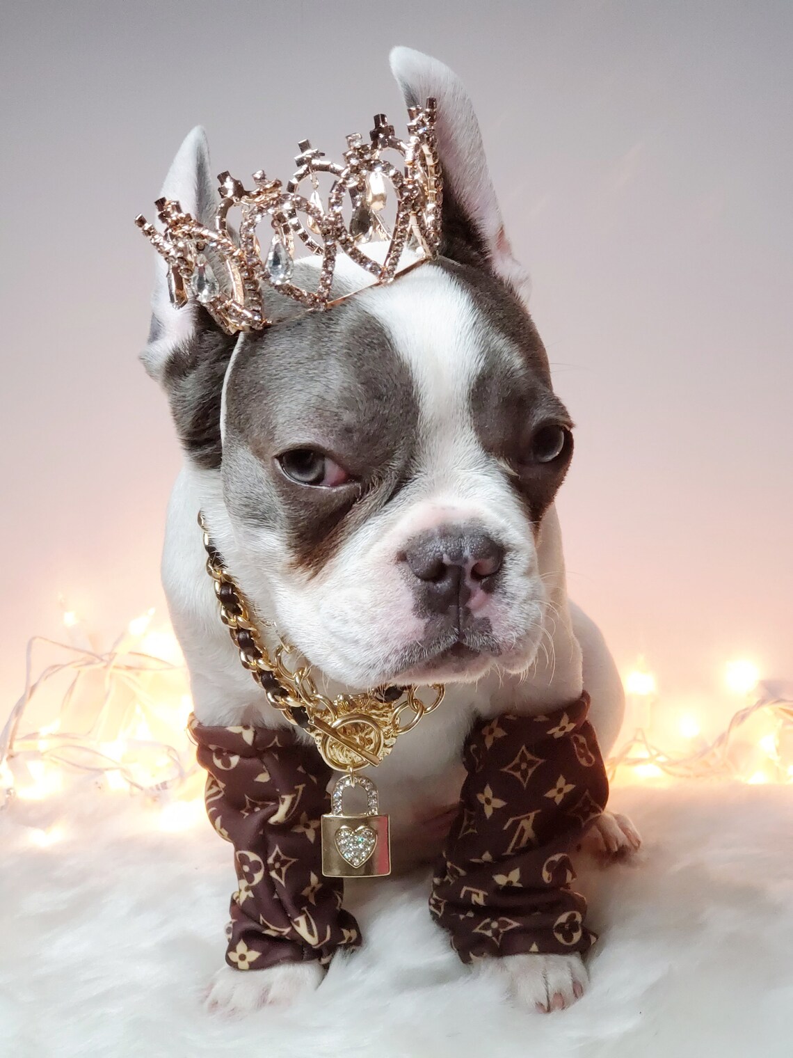 Silver color Crown for dog or cat /Princess dog crown / Etsy