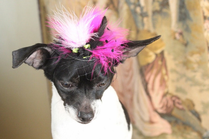 Cute black color mini hat with black pink and white color feather and flowers for dog or cat