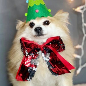 May include: A small, white dog wearing a green Christmas tree hat and a red sequined bow tie. The dog is sitting on a white surface with white Christmas lights in the background.