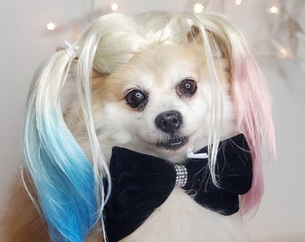 Harley quinn dog wig with  Pony  tails /Cute pet  wig  for dog or cat / Halloween pet  wig / Costume dog wig /Dog costume /