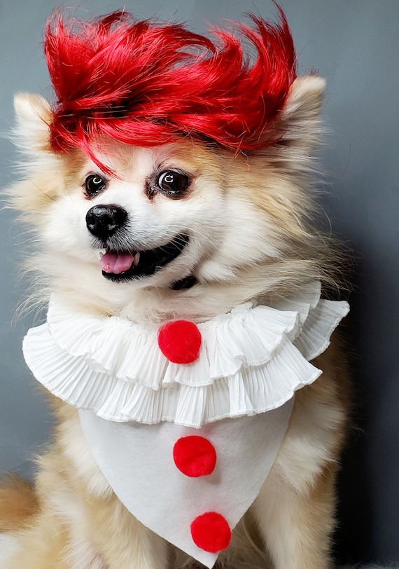 It clown dog costume discount