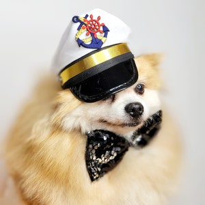 Captain hat for dog or cat  Small animal Doll /Halloween pet hat /Captain pet costume/