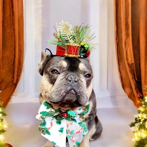 Christmas  hat black  color for  pets  Set listing/Christmas costume/Christmas dog hat /Dog costume/ Dog gift/