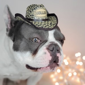 Cowboys  hat   for dog or cat/Halloween costume/Costume for  dogs /
