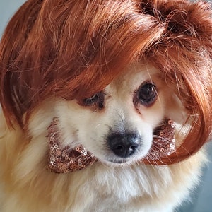 Cute pet wig for dog or cat /Halloween dog wig / Costume cat wig /Dog costume / Cat costume / image 5