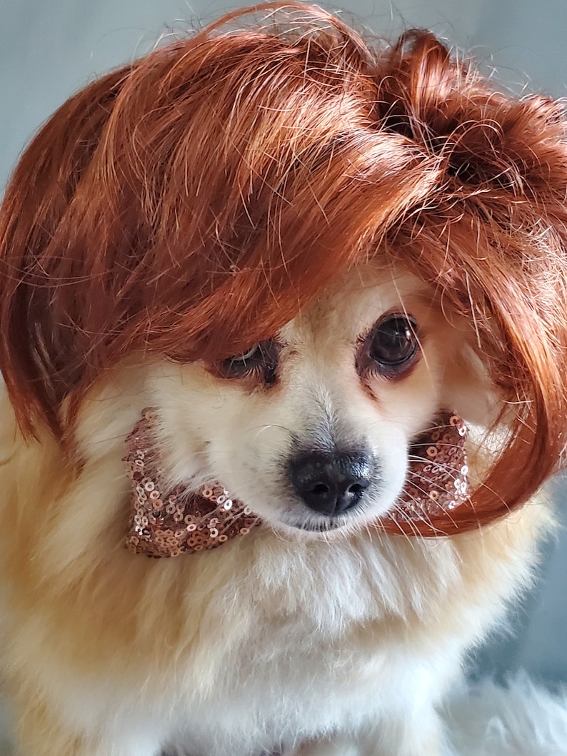 Cute pet wig for dog or cat /Halloween dog wig / Costume cat wig /Dog costume / Cat costume / image 5