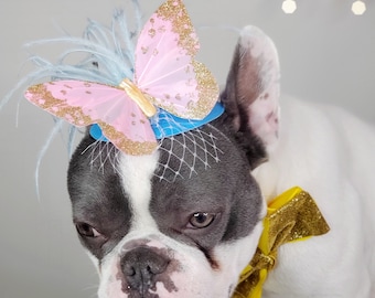 Elegant hat with   feather and   butterfly for dog or cat /Hat for small pet /Costume for dogs/