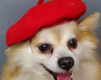 Beret  hat red color  for dog or cat  /Small animal  beret /Dog beret /