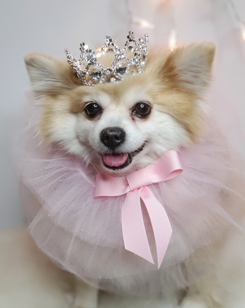 Set Listing  Silver color crown   with pink collar tie for dog image 1