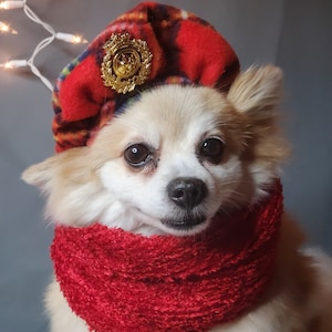 Set 2 piece Beret and  Scarf for dog cat or small animal / Costume/