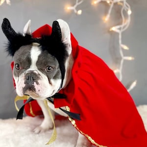 Teufel Hut für große Haustier Hut /Halloween-Kostüm/Hörner Hut/Hundekostüm/Haustier-Kostüm /Halloween-Hut/Hunde