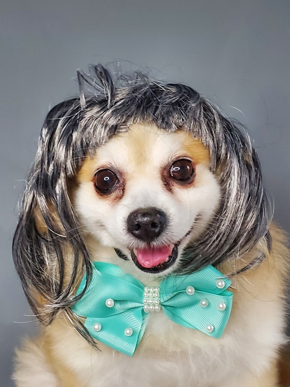 Grey top dog costume