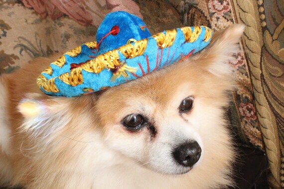 Cute sombrero hat for dog or cat