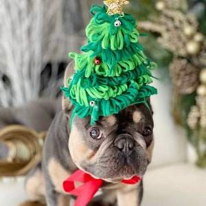 Santa hat  for pets /  Christmas  hat for dogs  /Christmas costume/Santa dog hat /