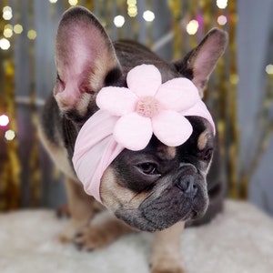 Headband  for dog or cat /headband for dogs/Pet gift/