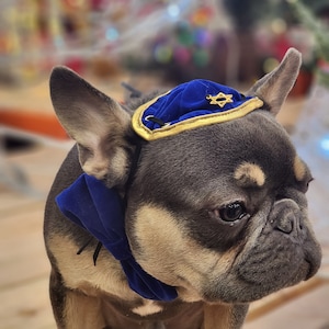 DOG KIPPAH Hanukkah hat and bow set for dog or cat/Hanukkah dog gift/Yarmulke for dogs/Yarmulke for cats//Kippah for dog image 5
