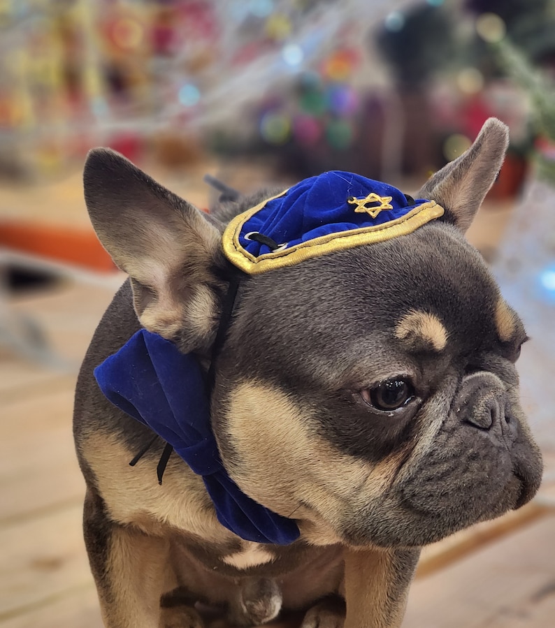 DOG KIPPAH Hanukkah hat and bow set for dog or cat/Hanukkah dog gift/Yarmulke for dogs/Yarmulke for cats//Kippah for dog image 5