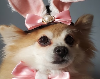 Set for your pet Easter Bunny hat  and bow set for dog or cat