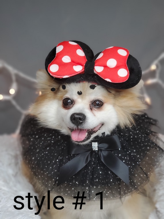 Mini Mouse Hat and Collar for Dog of Cat Halloween Dog Costume Etsy Ireland