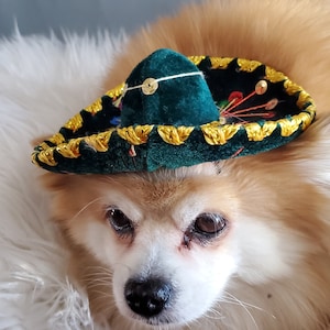 Cute sombrero hat   for dog or cat