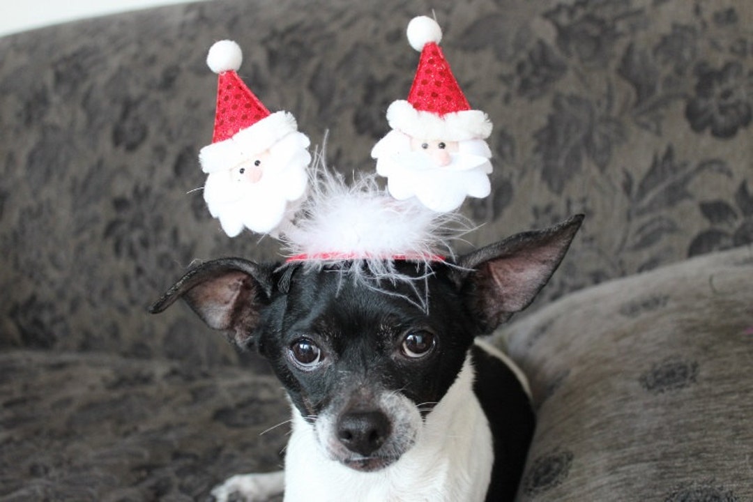 Christmas Hat for Dog or Cat / Christmas Costume /red Dog Hat/ Red Hat