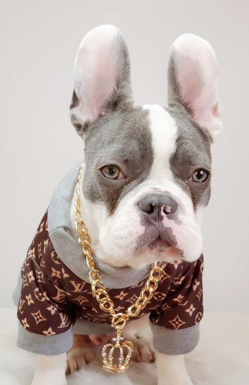 Supper Cute Dog Neck Chain Gold Color/ Jewelry for Pet Etsy