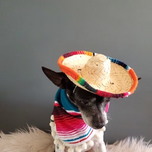 Set sombrero hat and bandanna scarf for dog or cat/ Halloween pet costume/ image 5