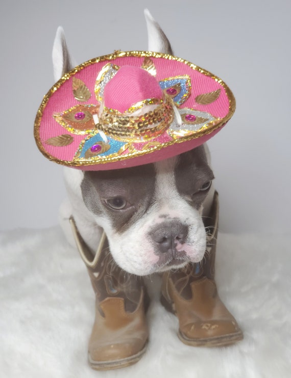 BuyCostume Multicolor Pet Size Sombrero with Elastic Strap Small/Medium for Dogs 