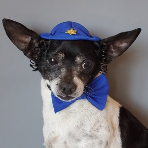 DOG KIPPAH Hanukkah hat and bow set for dog or cat/Hanukkah dog gift/Yarmulke for dogs/Yarmulke for cats//Kippah for dog image 1