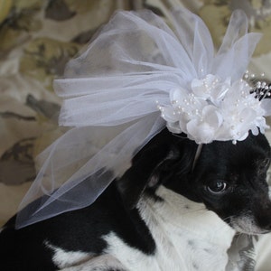 Cute bridal veil with white flowers for dog or cat/ Dog veil / Cat veil /Pet veil / image 2