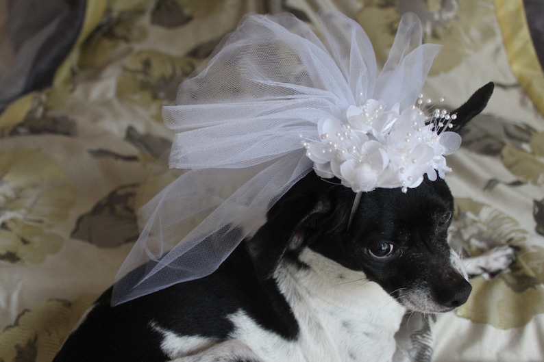 Cute bridal veil with white flowers for dog or cat/ Dog veil / Cat veil /Pet veil / image 2