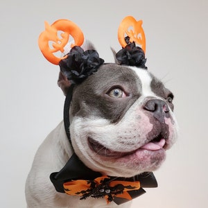 Beautiful headband and bow tie /Halloween costume/Dog costume / image 5