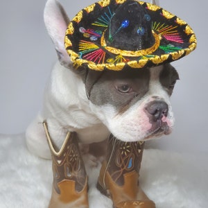 Chapeau sombrero mignon pour chien ou chat /Sombrero de chien dHalloween/ Sombrero de costume pour animaux de compagnie/ image 3