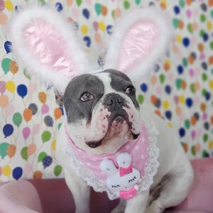 Easter Bunny headband for dog or cat /Bunny dog hat / Bunny dogs costume/ image 9