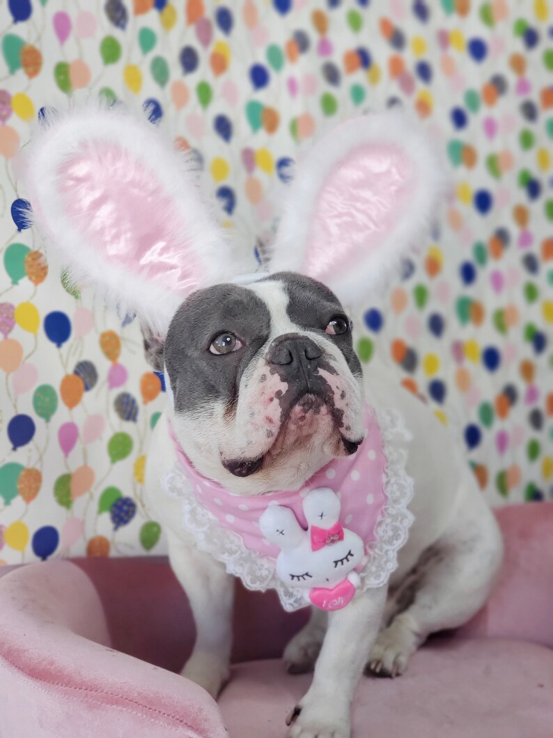 Easter Bunny headband for dog or cat /Bunny dog hat / Bunny dogs costume/ imagem 9