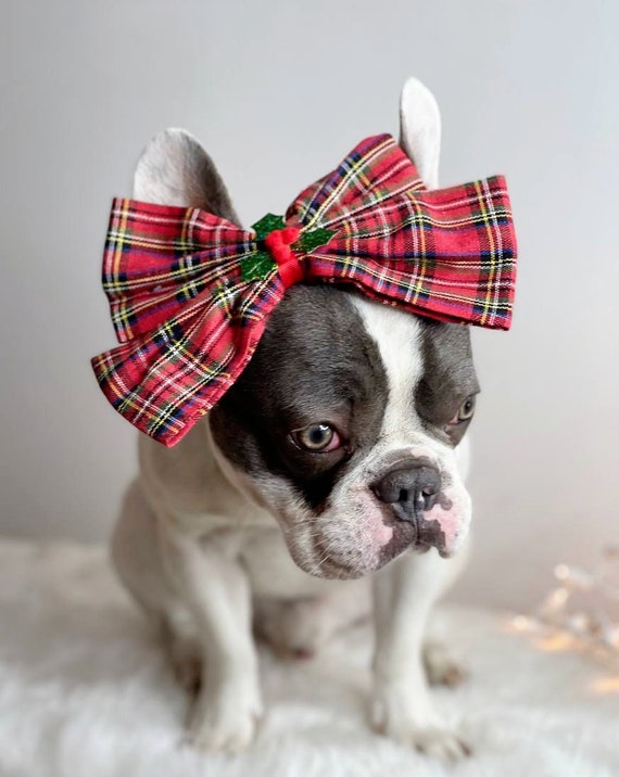 Dog christmas tie hotsell