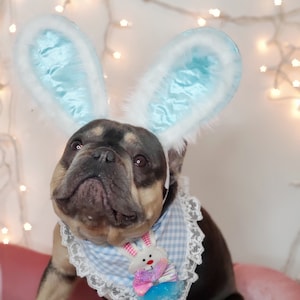 Easter Bunny headband    for dog or cat /Bunny dog hat / Bunny dogs costume/