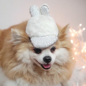 Casquette pour votre animal de compagnie / Chapeau mignon pour chien ou chat Petit animal image 7