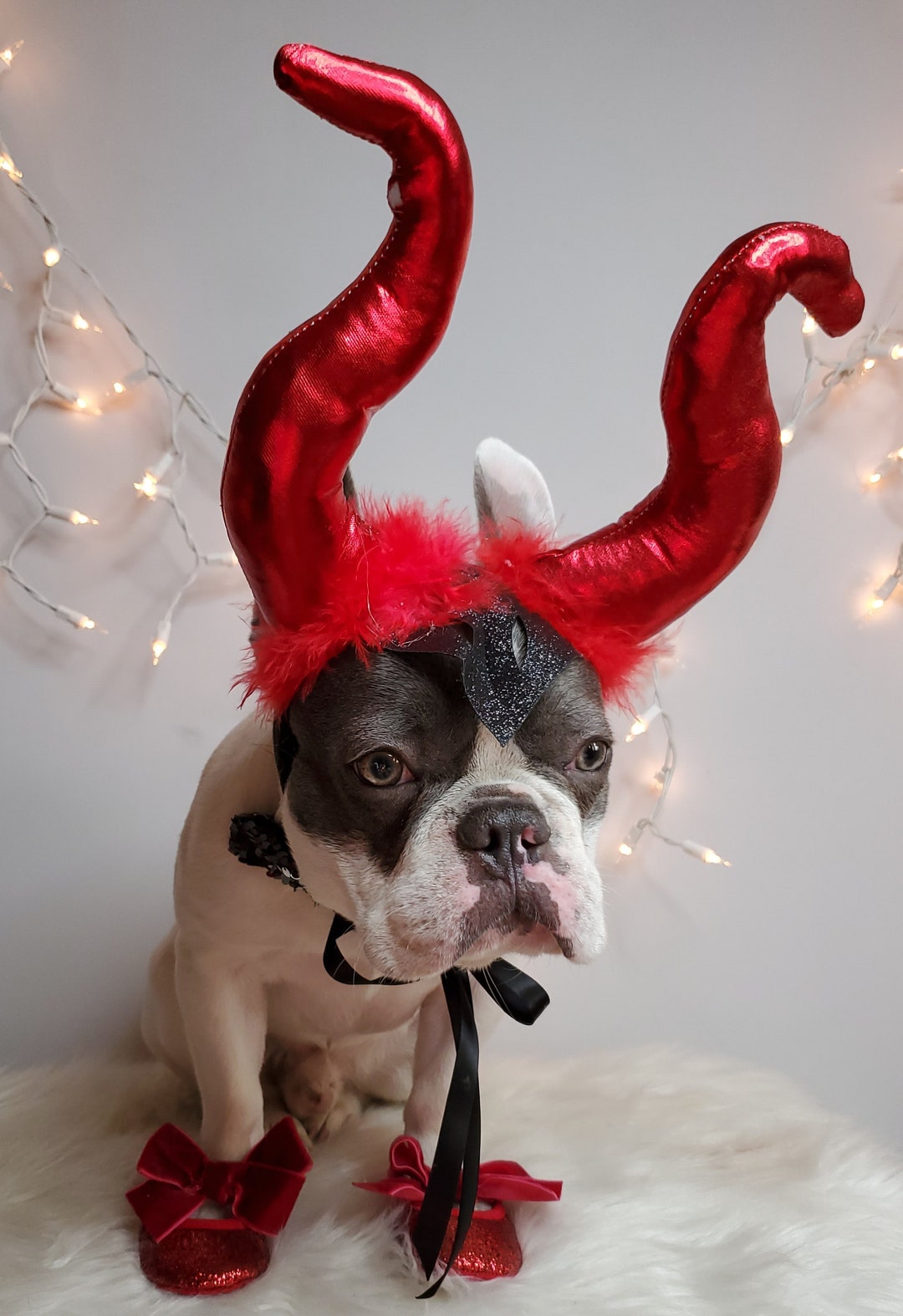 Devil Hat for Large Pet Hat /halloween Costume/horns Hat/dog Etsy