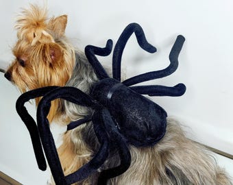 Spiderhondenkostuum: verstelbaar halloweenkostuum voor kleine honden, katten