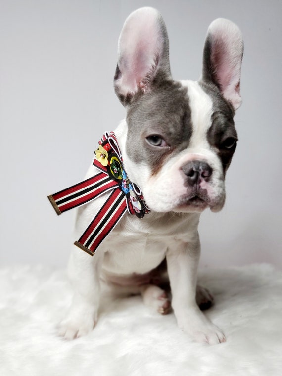 Bulldog top bow tie