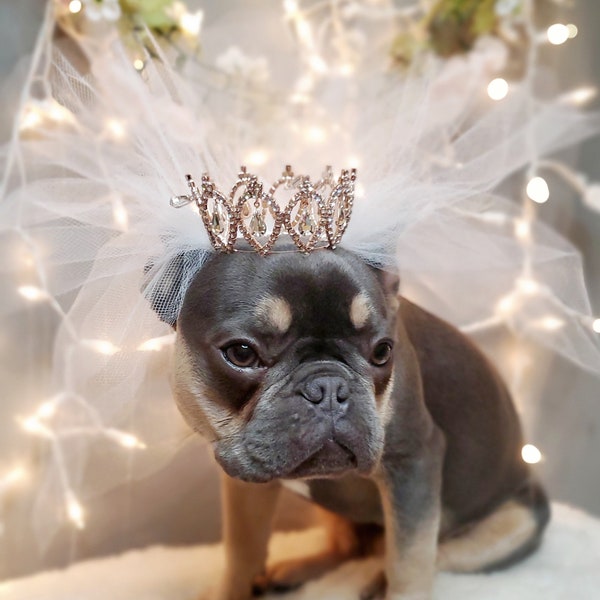 Crown   with veil  for dog or cat /Princess dog crown / Crown for dog /Princess crown/